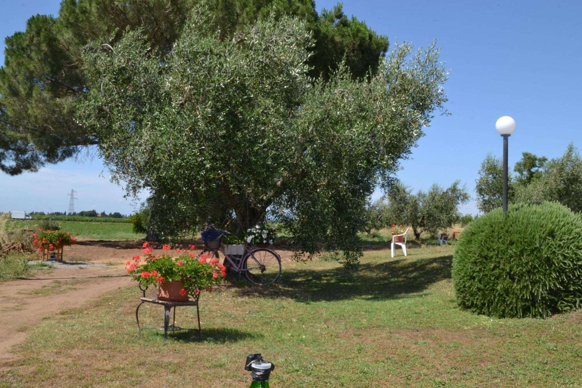 La Mimosa Hotel Bolgheri Exterior photo