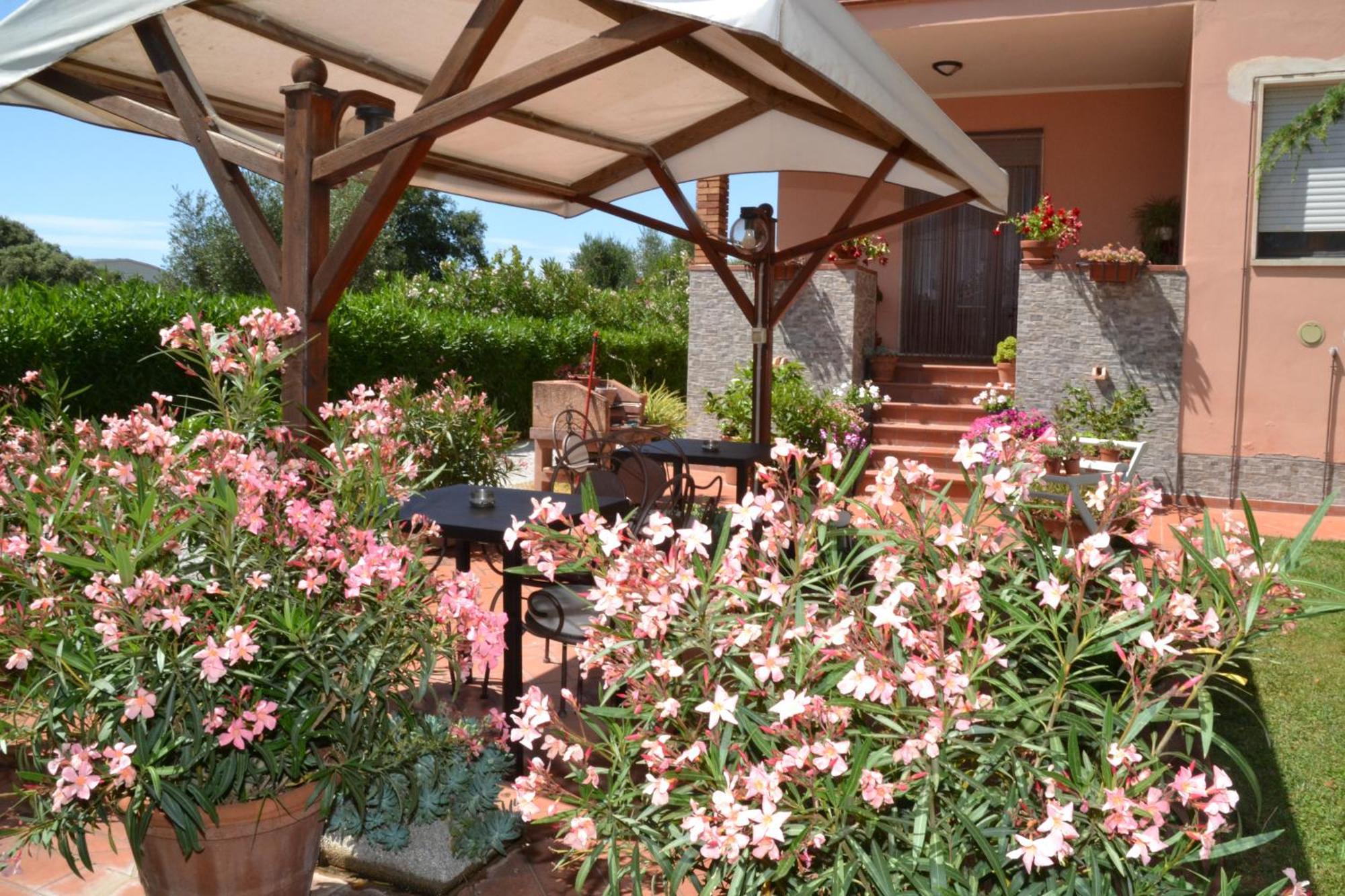 La Mimosa Hotel Bolgheri Exterior photo